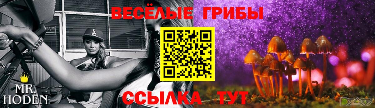 Псилоцибиновые грибы MAGIC MUSHROOMS Луховицы